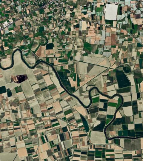 field-5159899 field-5159899