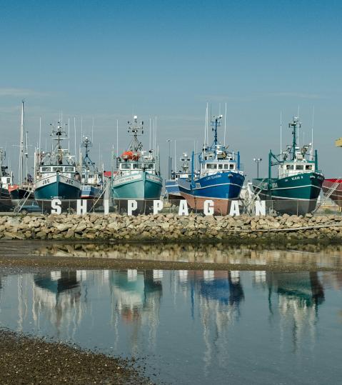 New Brunswick