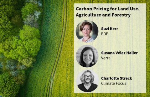Carbon Pricing for Land Use, Agriculture and Forestry