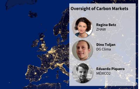 Oversight of Carbon Markets