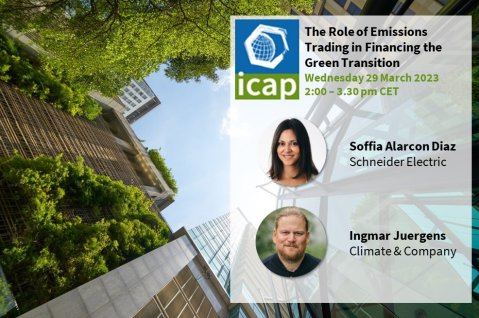 The Role of Emissions Trading in Financing the Green Transition
