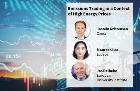  Emissions Trading in a Context of High Energy Prices