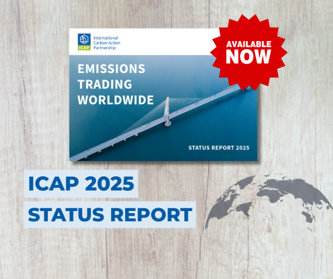 sr-2025-out-now-cover_vfin.png