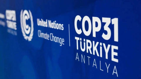 COP31