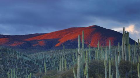 mexico_andres-sanz-uilhne1vcwa-unsplash