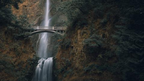oregon_cristofer-maximilian-v1ypvfnzvtw-unsplash oregon_cristofer-maximilian-v1ypvfnzvtw-unsplash