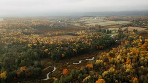 pennsylvania_donnie-rosie-vqgjgacllxa-unsplash