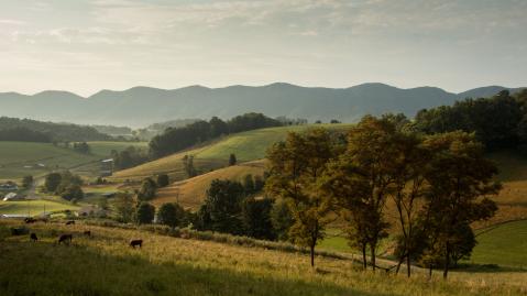 virginia_matthew-lancaster-nvhhrnqvsu-unsplash virginia_matthew-lancaster-nvhhrnqvsu-unsplash