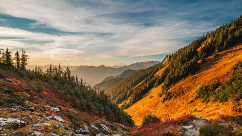 washington_toan-chu-ykn_g9l9nma-unsplash washington_toan-chu-ykn_g9l9nma-unsplash