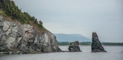 nova_scotia_sharissa-johnson-t0ukpns2sig-unsplash nova_scotia_sharissa-johnson-t0ukpns2sig-unsplash