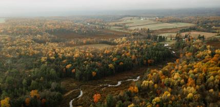 pennsylvania_donnie-rosie-vqgjgacllxa-unsplash pennsylvania_donnie-rosie-vqgjgacllxa-unsplash