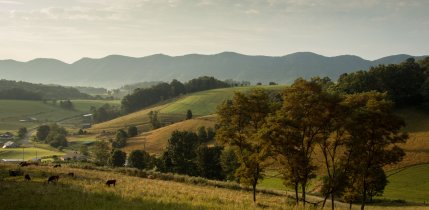 virginia_matthew-lancaster-nvhhrnqvsu-unsplash