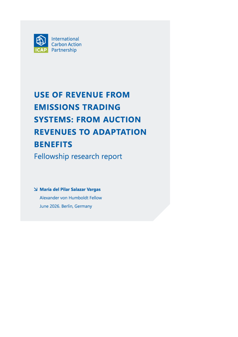 ICAP_FellowshipRR_Revenue use for adaptation_cover.png