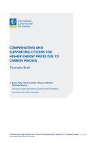 icap-thematic-brief-on-carbon-pricing-compensation-and-support-measures_cover.jpg